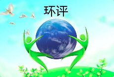 環(huán)境影響評(píng)價(jià)文件涉及弄虛作假等行為的，需要承擔(dān)哪些后果？